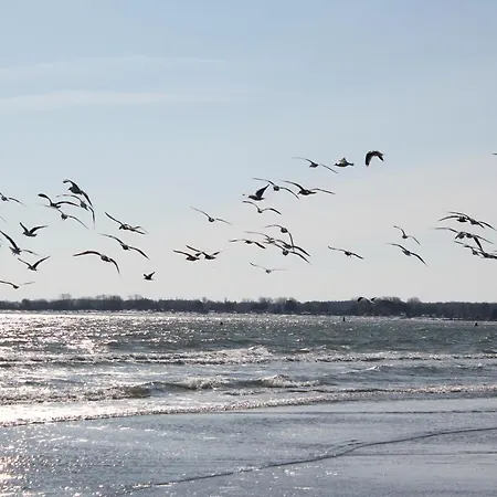 Hotel Wellenrausch - Adults Only Lübeck